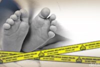 1754651157939-ad74c05f-f503-42fe-812b-0e539c1e0926_169