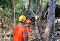 1756553099650-bpbd-karangasem-saat-melakukan-penanganan-pohon-tumbang-menimpa-gudang-di-wilayah-labasari-kecamatan-abang-sabtu-3082025-1756546484269_169