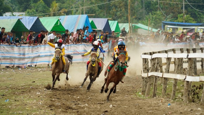 1758260321558-pacuan-kuda-bima-tangkap-layar-badan-riset-dan-inovasi-daerah-kota-bima-1758187299010_169