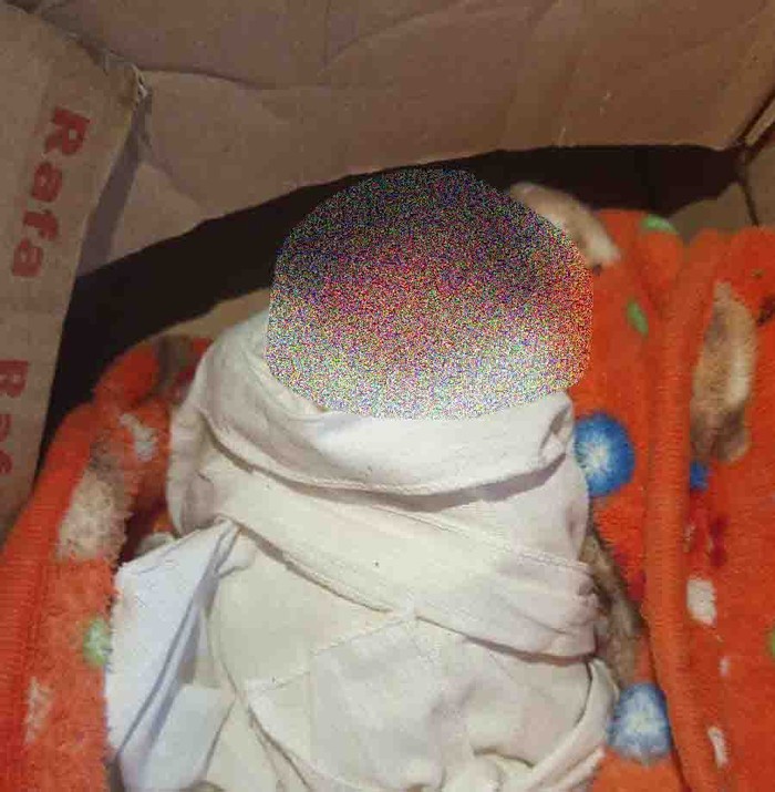 1758454299314-mayat-bayi-ditemukan-dalam-kardus-di-warung-depan-sppbe-dusun-beremi-desa-jagaraga-kecamatan-kuripan-lombok-barat-dok-polsek-k-1758450434550