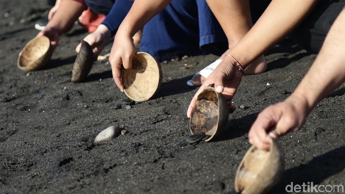 1758519269454-38483493-5e48-4bcb-a4a8-afacd79e6572_169