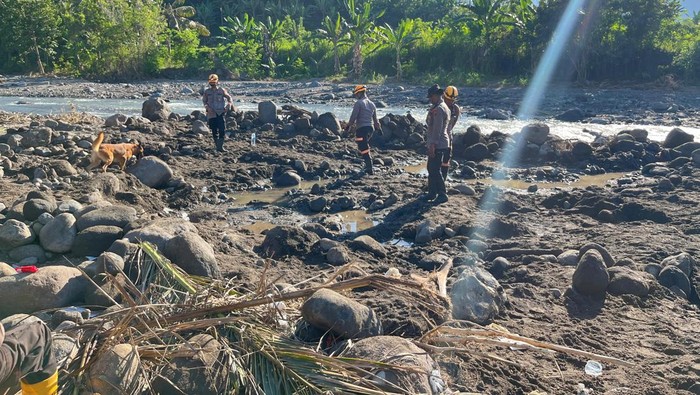 1758648716374-anjing-pelacak-polri-1758631858477_169