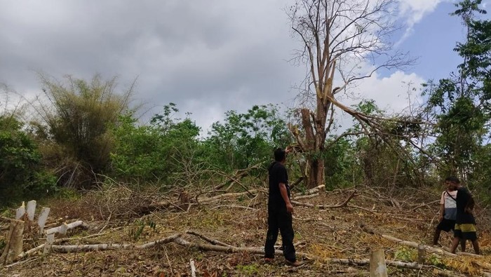 1758648760148-kanit-intelkam-polsek-amfoang-utara-bripka-nikolaus-yupin-melakukan-olah-tkp-warga-tewas-akibat-jatuh-dari-pohon-di-kebun-nepe-1758629020518_169