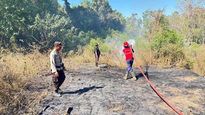 1758886274575-etugas-damkartan-karangasem-berupaya-memadamkan-kebakaran-lahan-di-desa-ban-kecamatan-kubu-jumat-2692025-dok-damkartan-karanga-1758879607280_169