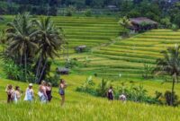 1758951772938-bikin-bule-kepincut-desa-wisata-jatiluwih-raih-penghargaan-dari-pbb_169