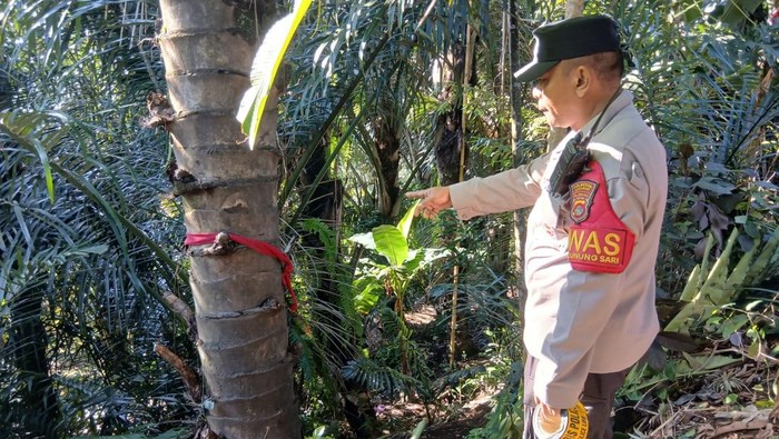 1759339738762-polisi-melakukan-olah-tkp-kasus-pria-tewas-gantung-diri-di-gunungsari-lombok-barat-ntb-rabu-1102025-foto-dok-polresta-mataram-1759335068414_169