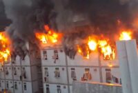 1759339821087-kebakaran-hunian-pekerja-di-ikn-1759327946377_169