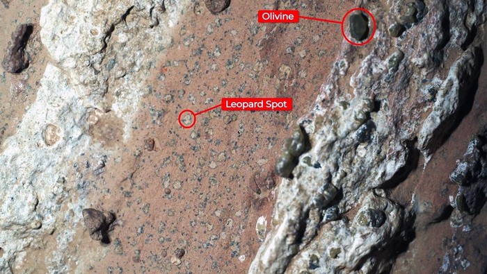 1759383428802-penjelajah-perseverance-milik-nasa-menemukan-bintik-bintik-macan-tutul-pada-batu-kemerahan-yang-dijuluki-air-terjun-cheyava-di-1759312851551_169
