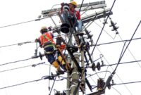 1759447016766-perjuangan-petugas-pln-rawat-jaringan-untuk-tingkatkan-pelayanan_169