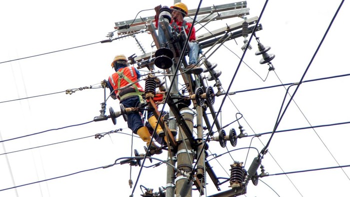 1759447016766-perjuangan-petugas-pln-rawat-jaringan-untuk-tingkatkan-pelayanan_169