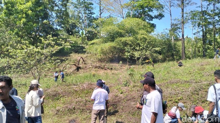 1759598948155-penanaman-pohon-1759589095892_169