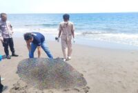 1759750169922-petugas-saat-melakukan-identifikasi-jenazah-mayat-laki-laki-yang-terdampar-di-pantai-lingkungan-penginuman-kelurahan-gilimanuk-1759746421762