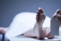 1759750293345-79a5c917-e4da-48b5-8528-0e39924ba89b_169