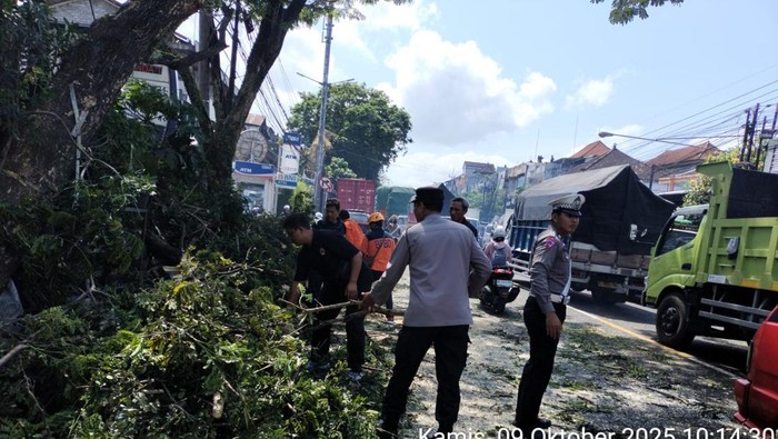 1760009463213-dahan-pohon-patah-1760000272779_169