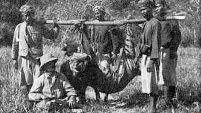 1760075038994-perburuan-harimau-bali-di-masa-lalu-wikipediaoskar-vojnich-1759997111356_169