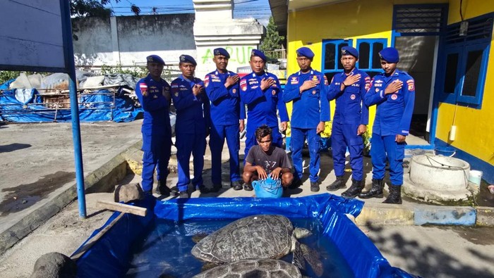 1760182068693-ditpolairud-polda-ntt-mengamankan-seorang-nelayan-bernama-aslan-karena-menangkap-penyu-untuk-diperjualbelikan-di-sikka-sabtu-1-1760175070095_169