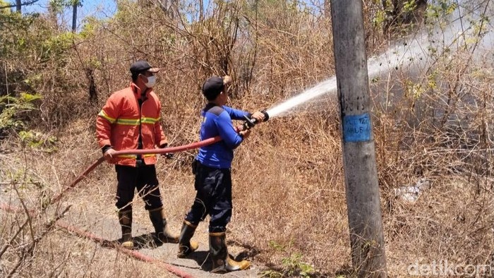 1760268491960-kebakaran-lahan-di-karangasem-1760259587248_169