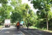 1760376535311-perbaikan-jalan-berlubang-di-jalan-denpasar-gilimanuk-tepatnya-di-wilayah-desa-tukadaya-kecamatan-melaya-jembrana-bali-senin-1-1760362435663_169