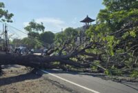 1760376579105-pohon-tumbang-tutup-jalur-perbatasan-karangasem-klungkung-yang-menyebabkan-kemacetan-panjang-senin-13102025-1760357662486_169