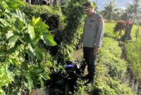 1760614349098-polisi-melakukan-olah-tkp-kecelakaan-tunggal-di-banjar-bale-agung-desa-subamia-tabanan-bali-foto-dok-istimewa-1760609525141_169