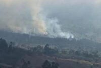 1760635798559-visual-kebakaran-hutan-di-kawasan-taman-nasional-gunung-rinjani-lombok-timur-ntb-kamis-16102025-foto-tangkapan-layar-instagram-1760625841878_169