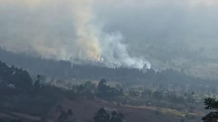 1760635798559-visual-kebakaran-hutan-di-kawasan-taman-nasional-gunung-rinjani-lombok-timur-ntb-kamis-16102025-foto-tangkapan-layar-instagram-1760625841878_169