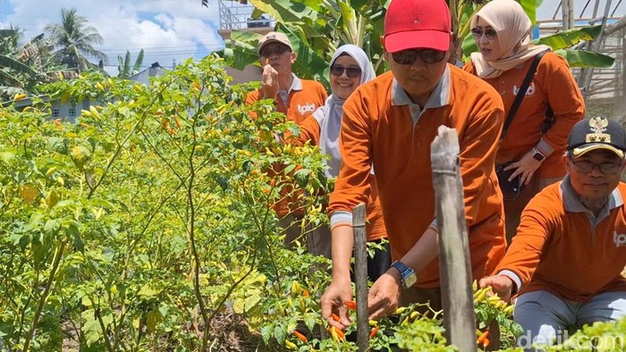 1760656566777-sekda-kota-mataram-lalu-alwan-basri-saat-melihat-kualitas-cabai-di-greenhouse-milik-petani-di-lombok-timur-kamis-16102025-foto-1760622077206_169