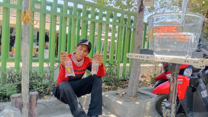 1760894851162-abdul-gani-murad-difabel-penjual-ikan-hias-menunjukan-dagangannya-saat-berjualan-di-puskesmas-batuyang-kecamatan-pringgabaya-l-1760889743726_169