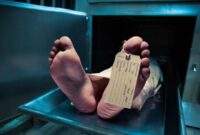 1760938515874-9ee651ca-6cd4-449f-b8c8-a0511ed6e2ba_169