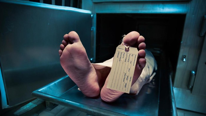 1760938515874-9ee651ca-6cd4-449f-b8c8-a0511ed6e2ba_169