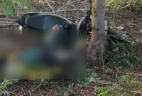 1761067963528-ojol-bernama-bernabas-taemnanu-29-meninggal-seusai-menabrak-pohon-di-tugu-tupitu-nakaf-baitanu-kecamatan-alak-kota-kupang-ntt--1761057198490_169