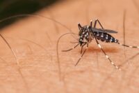 1761088600944-d58f7f01-be86-4358-9778-aff7a779c51f_169