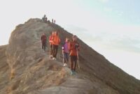1761197928503-para-wisatawan-saat-melakukan-aktivitas-pendakian-ke-gunung-agung-karangasem-bali_169
