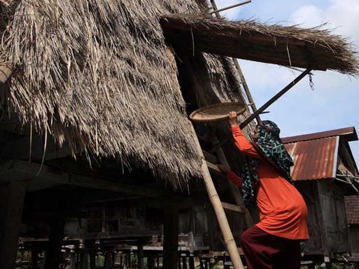 1761456569270-ilustrasi-ampa-fare-tradisi-menyimpan-padi-di-kecamatan-wawo-kabupaten-bima-ntb-foto-pesonawisatabima-1761452481744_43