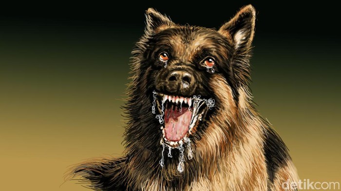 1761456721348-ilustrasi-penyakit-anjing-gila_169