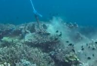 1761564747991-jangkar-rusak-terumbu-karang-1761548934357_169