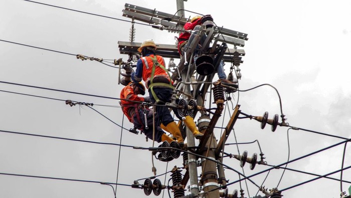 1761629903286-perjuangan-petugas-pln-rawat-jaringan-untuk-tingkatkan-pelayanan-1_169