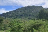 1761716199297-bukit-babi-gemuk-atau-fafinesu-timor-tengah-utara-ntt-tangkap-layar-google-mapsmurdana2025-1761643503145