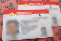 1761779929177-ilustrasi-sim_169