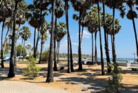 1761802572004-pohon-lontar-di-pantai-lasiana-kota-kupang-tangkapan-layar-google-mapssubagio2024-1761727303786_169