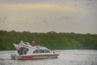 1761866322003-36f409fe-61c4-4267-8edf-6c652bba3480_169