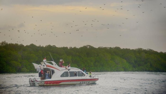 1761866322003-36f409fe-61c4-4267-8edf-6c652bba3480_169