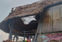 1761889066250-bloo-lagoon-1761876561332_169