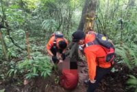 1761910513896-proses-evakuasi-empat-pendaki-kelelahan-di-gunung-batukaru-jumat-31102025-istimewa-1761900044281_169