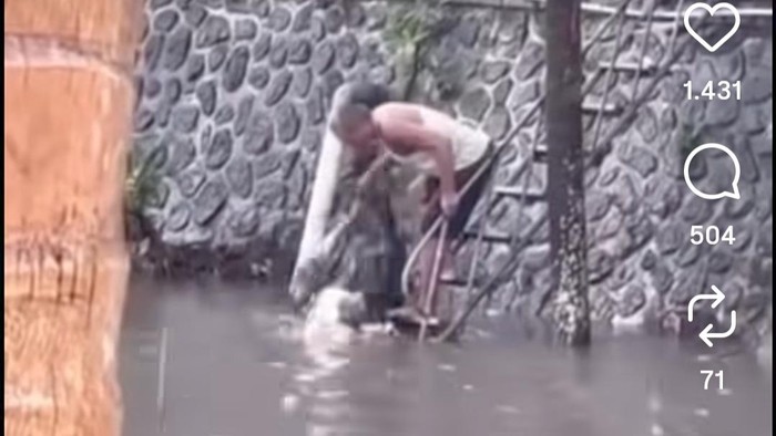 1762191071124-tangkapan-layar-video-denpasarviral-yang-menampilkan-aksi-pria-membuang-sampahnya-ke-tukad-badung-pada-senin-3112025-istimewa-1762178146683_169