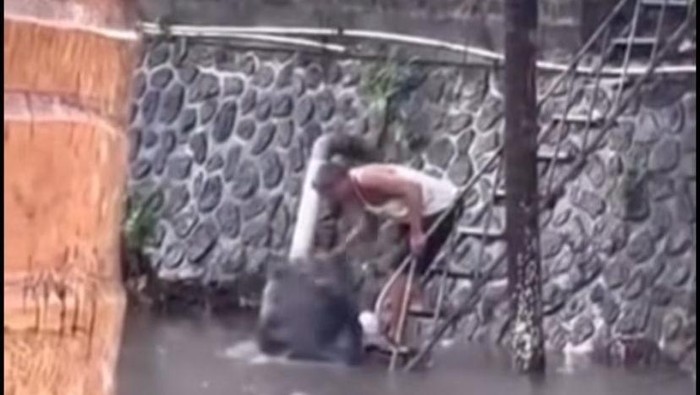 1762256210538-seorang-pria-tertangkap-kamera-membuang-sampah-ke-aliran-sungai-tukad-badung-denpasar-tangkapan-layar-1762242112226_169