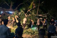 1762407277549-pohon-tumbang-di-area-pura-segara-penataran-ped-desa-ped-kecamatan-nusa-penida-memakan-korban-jiwa-rabu-5112025-1762399574124_169