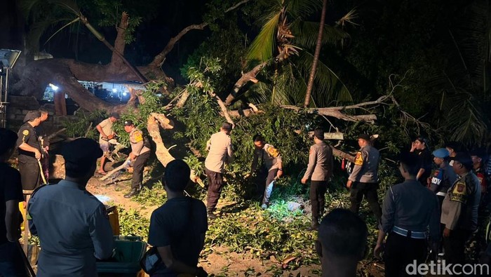 1762407277549-pohon-tumbang-di-area-pura-segara-penataran-ped-desa-ped-kecamatan-nusa-penida-memakan-korban-jiwa-rabu-5112025-1762399574124_169