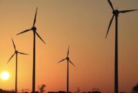 1762428939455-a0b22a9f-da3e-4849-a030-cd7300cca408_169