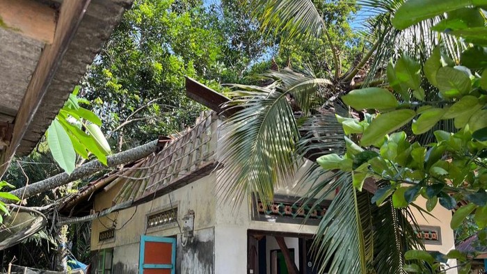 1762428966826-rumah-i-made-badra-di-desa-jungutan-kecamatan-bebandem-karangasem-hancur-akibat-tertimpa-pohon-tumbang-kamis-6112025-dok-bpbd--1762409071248_169